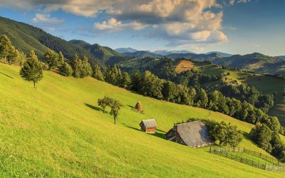 Cómo comprar una finca rústica